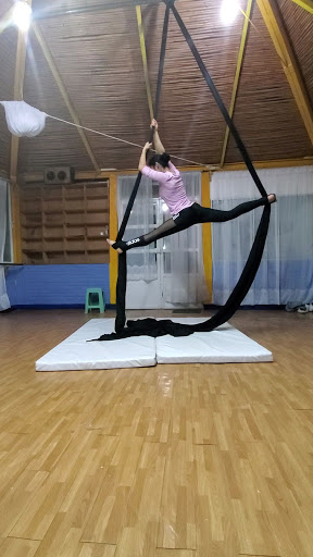 Danzarte