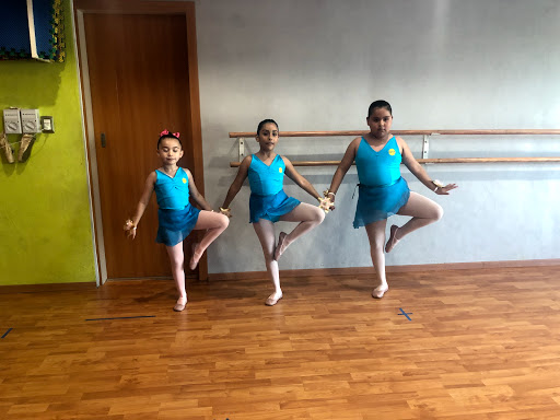 Danzú Academia de Danza