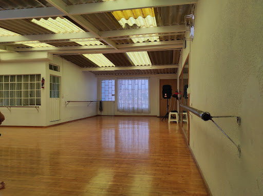 Del Bosque Studio