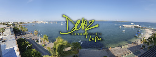 Denz Dance Studio