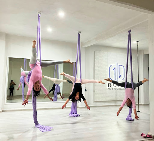 Dual-Pole & Aerial Studio...
