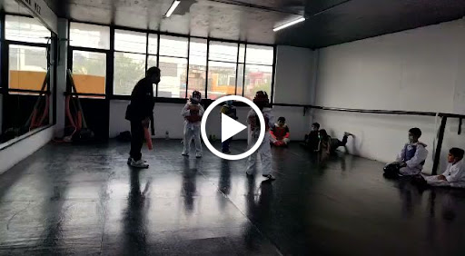 ENSAMBLE Danza