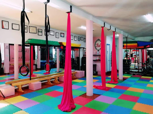 ESCENARIO JW academia de danza