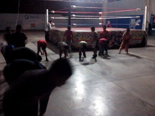ESCUELA DE LUCHA LIBRE GUERRERO UNIVERSAL