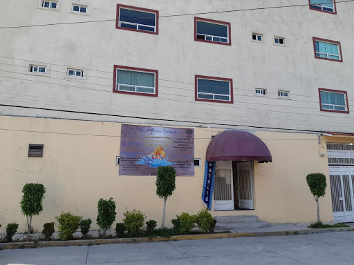 ESCUELA DE NATACION BARRACUDAS