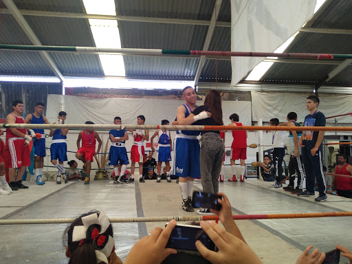Eggman Gym Multideportivo