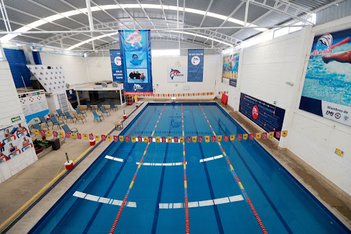 El Delfín Escuela de Natación - Poniente
