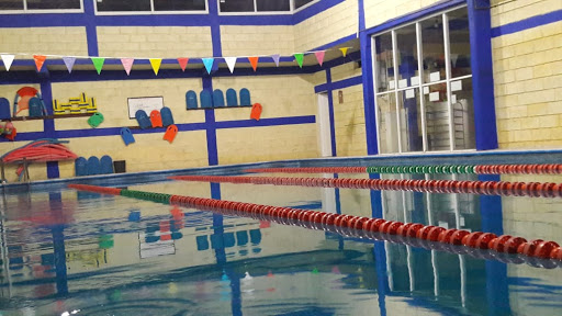 Escuela De Natación 