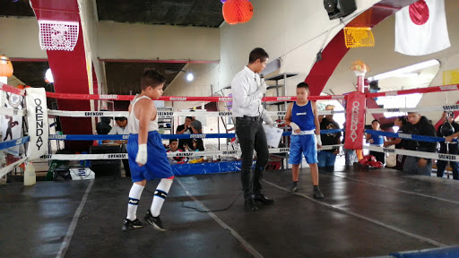 Escuela de Box 