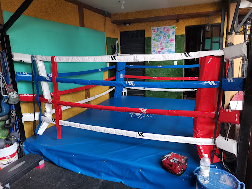 Escuela de Boxeo Haraseos Boxing