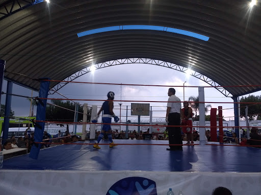 Escuela de Deportes de Contacto EDG