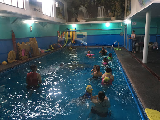 Escuela de Natación y Acuaeróbics