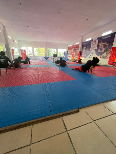 Escuela de Taekwondo UTAM Nuevo Córdoba