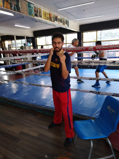 Escuela de boxeo