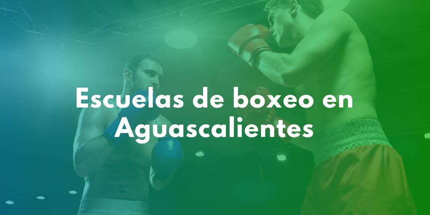 Escuelas-de-boxeo-en-Aguascalientes