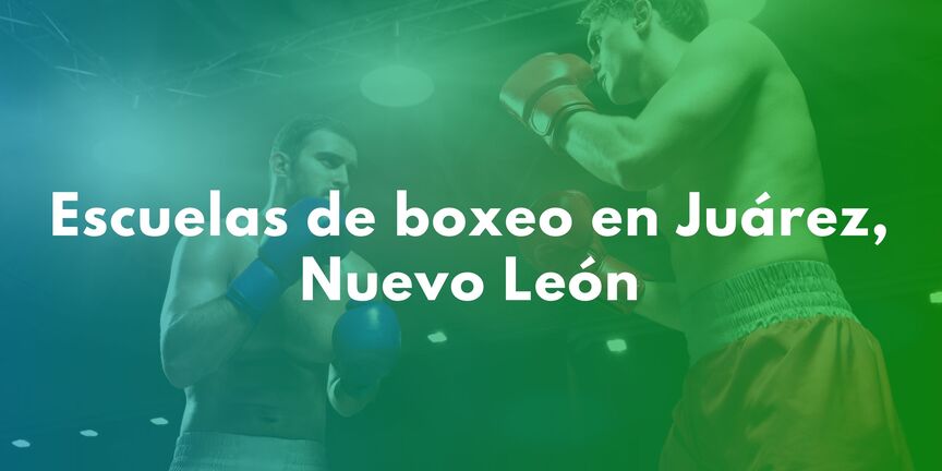 Escuelas-de-boxeo-en-Juarez-Nuevo-Leon
