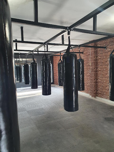 Estudio Cardio Box