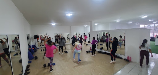 Evolution Gym