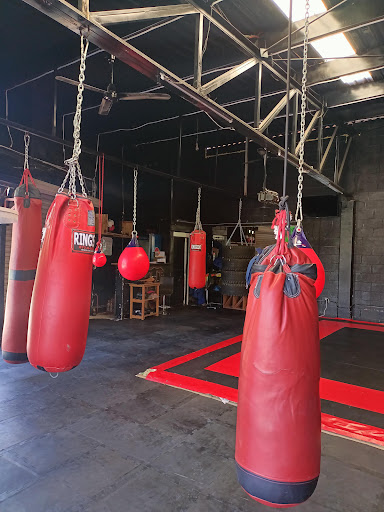 FIGHT Boxing Club & Mma Qro