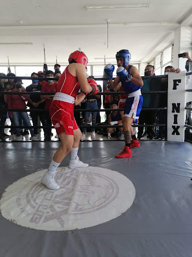 Fenix Fight Club
