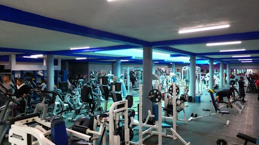 Fit Body Gym