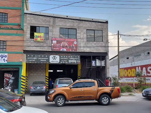GALLOS BOXING CLUB