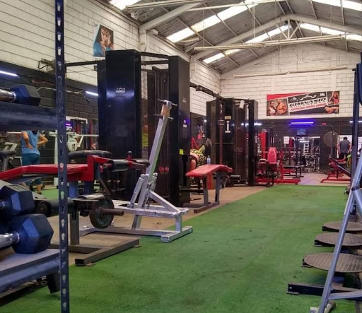 GIMNASIO BOCANEGRA