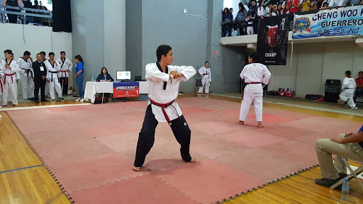 GIMNASIO DE ARTES MARCIALES VALLLES