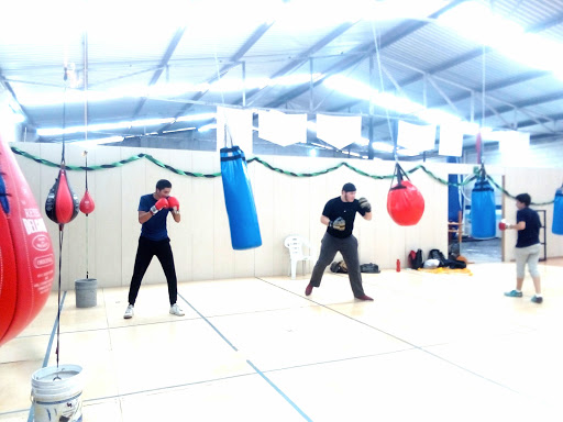 GIMNASIO DE BOXEO - BOXE- FIT