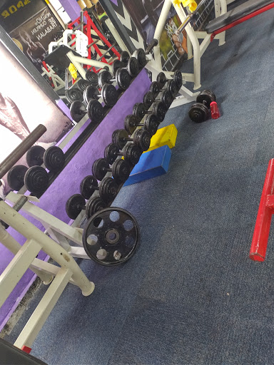 Gallos port fit huauchinango
