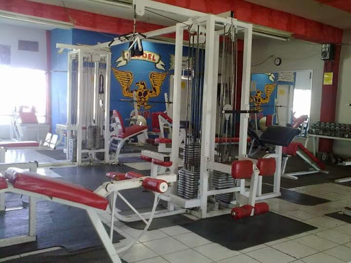 Gildel Gym