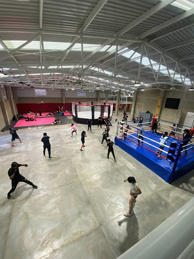 Gimnasio “DARV” Boxeo y Artes Marciales Mixtas