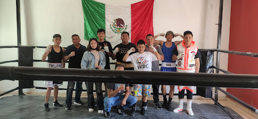 Gimnasio De Box 