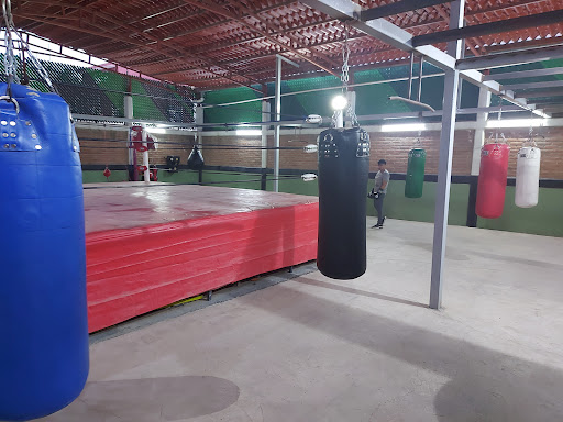 Gimnasio de BOX (Boxing wolves)