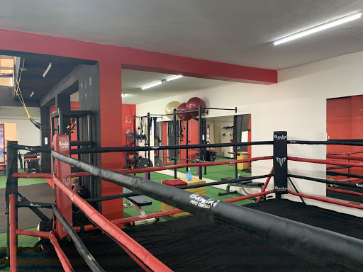 Glory Boxing
