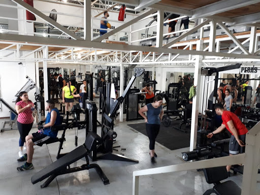 Go Fit Pesas Cardio Box
