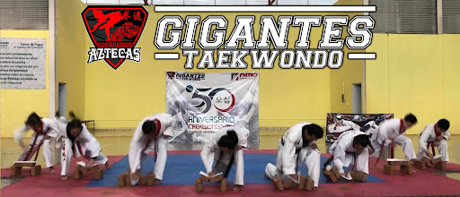 Guerreros Aztecas Gigantes Taekwondo