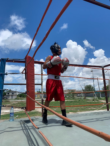 Gym De Box Titanes