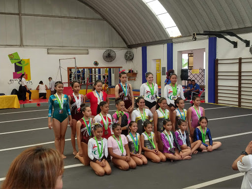 Gym I Arts