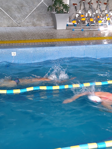 H2O Escuela De Natacion