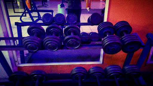 Health&Body Gym365