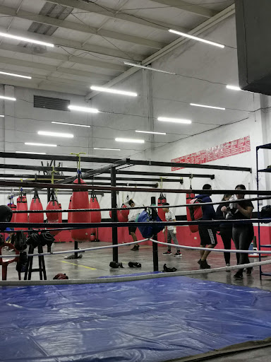 Ibarra Boxing Promotions