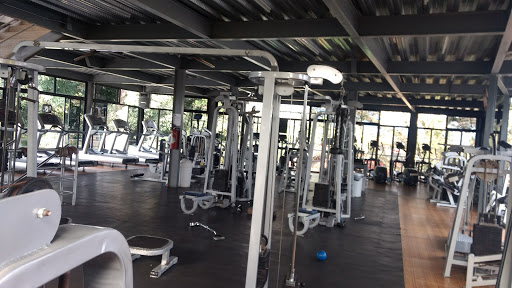 Idm Instituto de Desarrollo Muscular