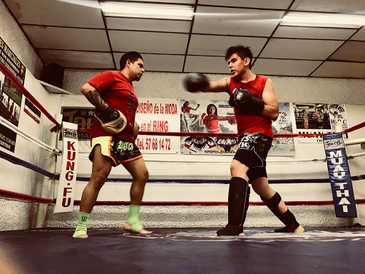 Instituto Mexicano De Kung Fu y Muay Thai