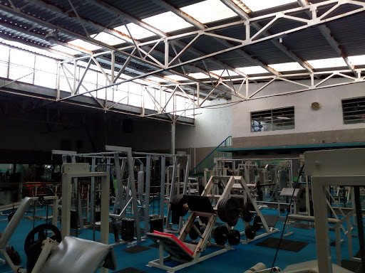 Instituto de Cultura Fisica