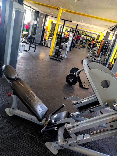Iron studio gym y box