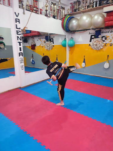 Karate Pro-K Tultepec
