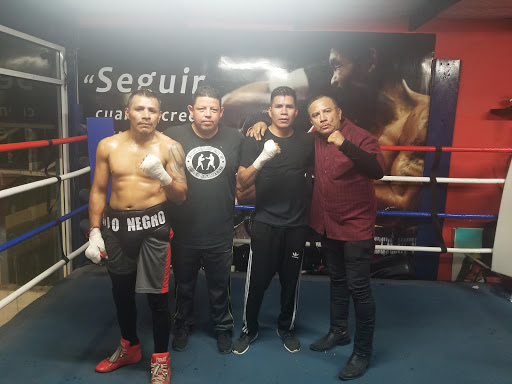 Knockout Gym Box