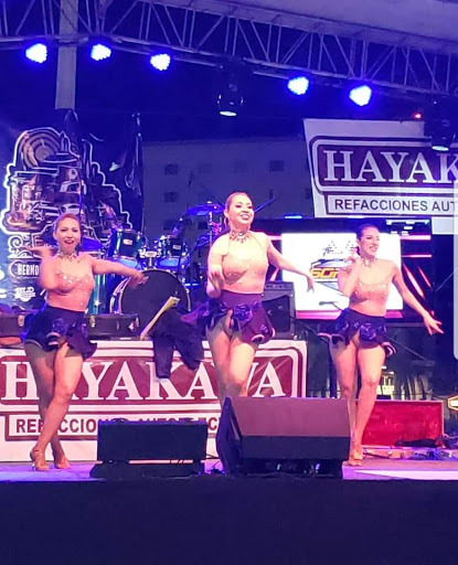 Latin Salsa Studio