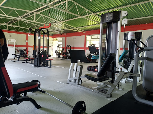 Leo Gym